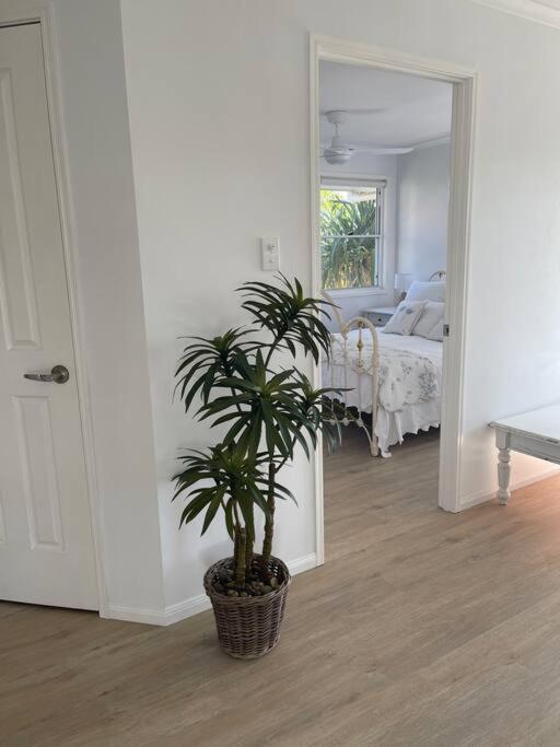 Studio Seaside Self-Contained Apartment Marcoola Exterior photo